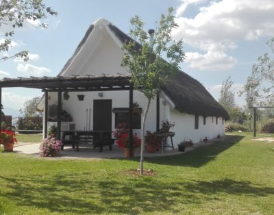 Barraca Grande PTE 000148