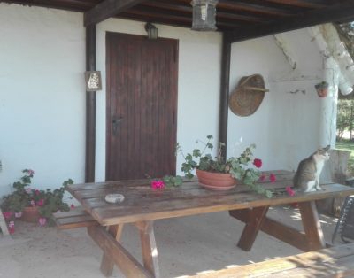 Barraca de Salvador PTE 000107